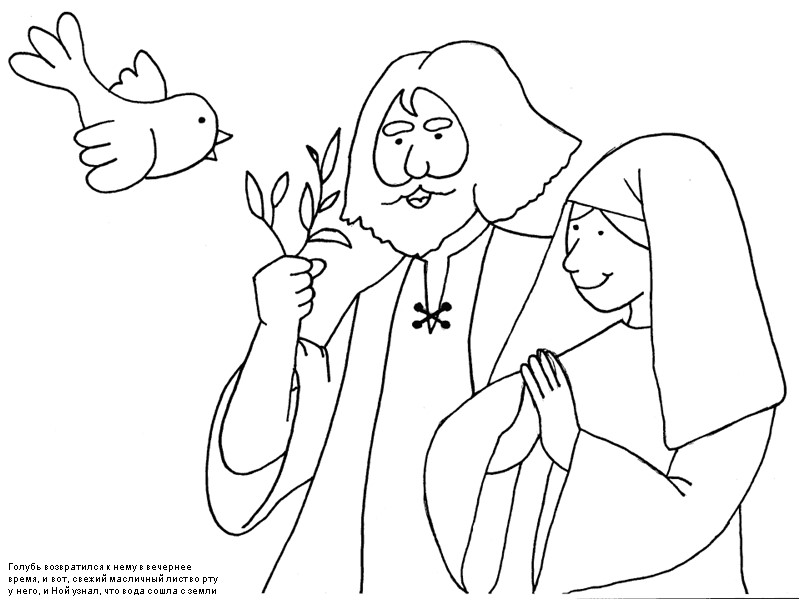 Голубь возвратился к нему в вечернее время, и вот, свежий масличный лист во рту